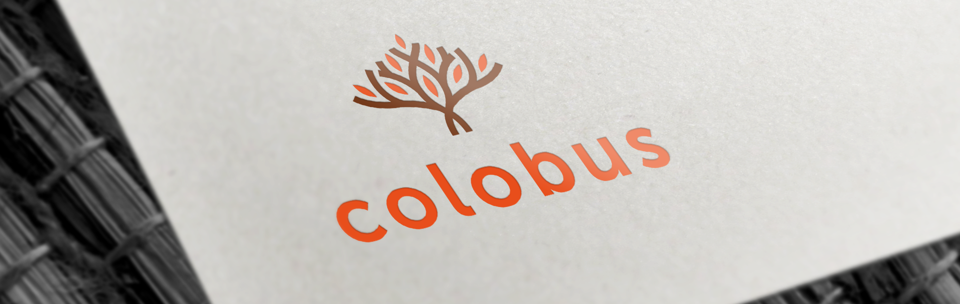 Colobus logo